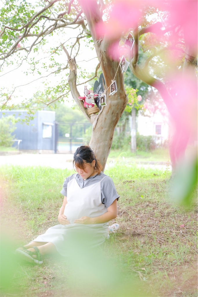 f:id:HitoshiN:20221115192244j:image