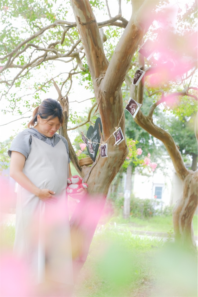 f:id:HitoshiN:20221115192305j:image