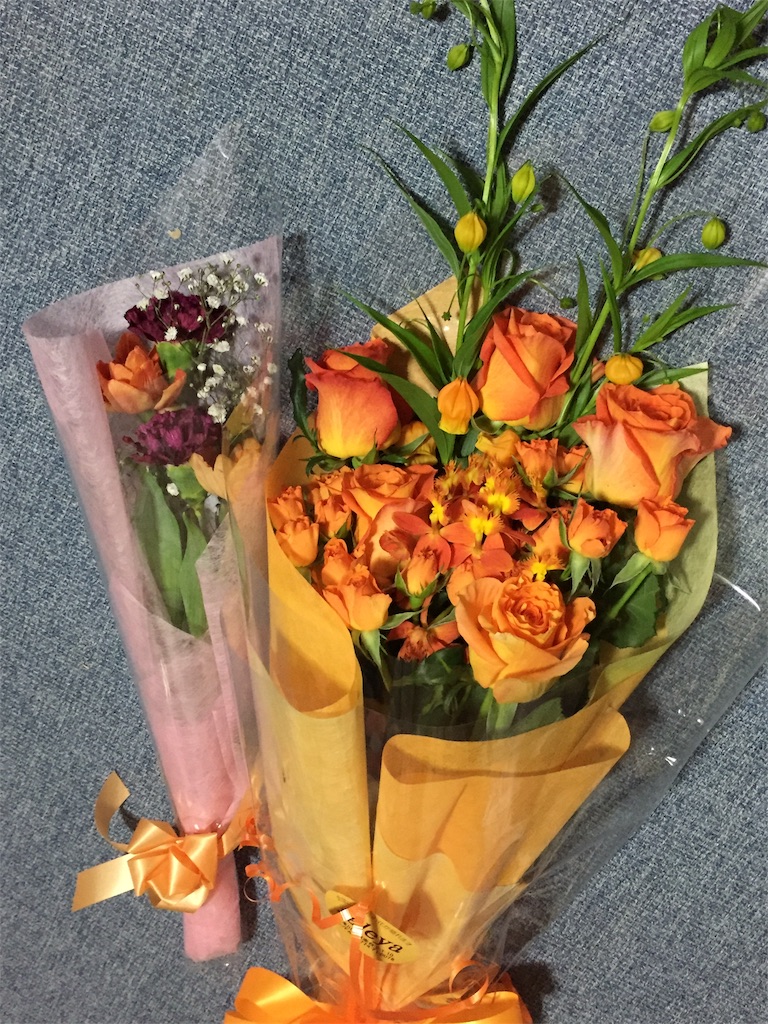 f:id:Hitoyasumisan:20210331215954j:image f:id:Hitoyasumisan:20210331215954j:image