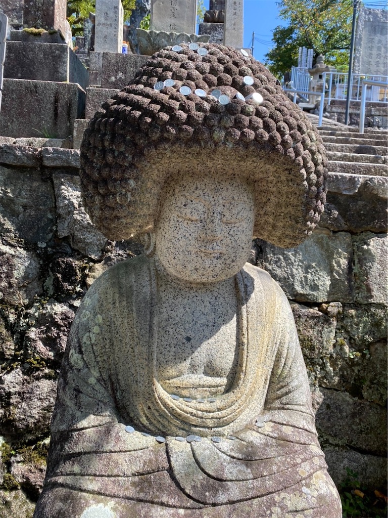 f:id:Hitoyasumisan:20211003171032j:image f:id:Hitoyasumisan:20211003171032j:image