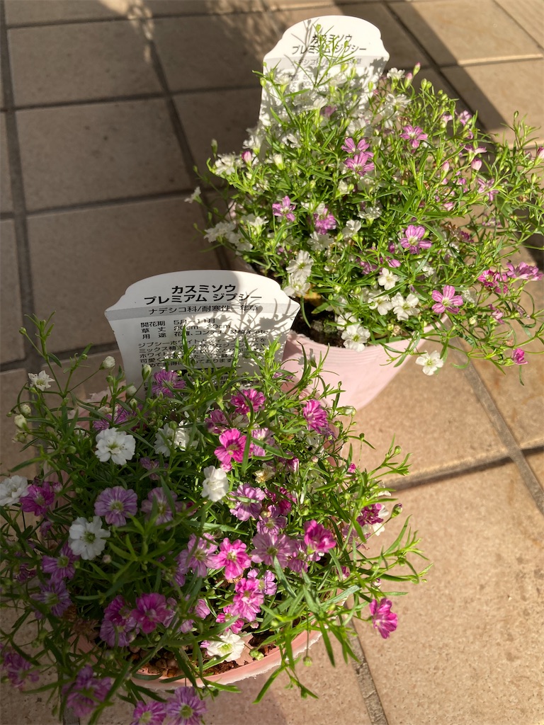 f:id:Hitoyasumisan:20211201163544j:image f:id:Hitoyasumisan:20211201163544j:image