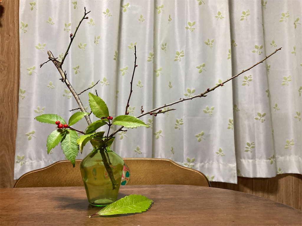 f:id:Hitoyasumisan:20220126063951j:image f:id:Hitoyasumisan:20220126063951j:image