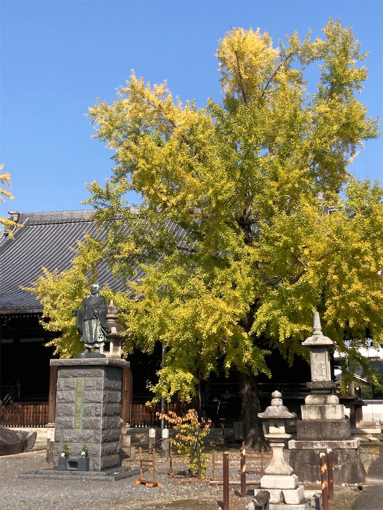 f:id:Hitoyasumisan:20231102220141j:image