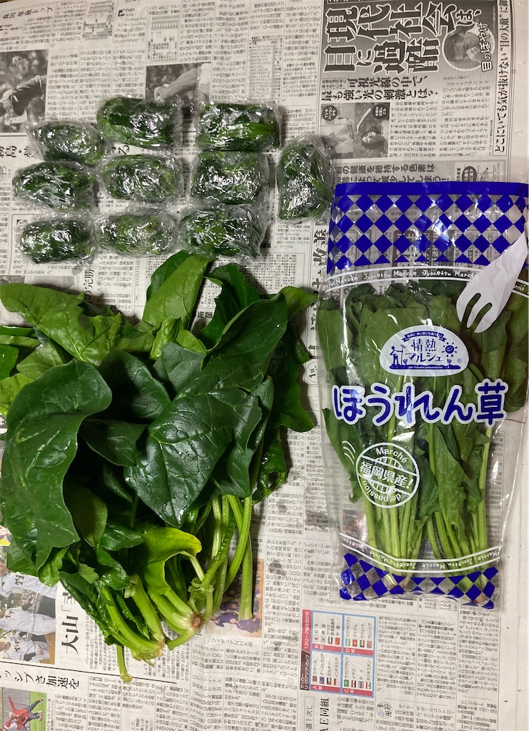 f:id:Hitoyasumisan:20231124200815j:image f:id:Hitoyasumisan:20231124200815j:image