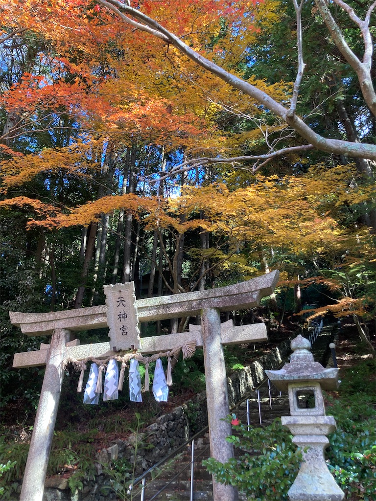 f:id:Hitoyasumisan:20231126210344j:image