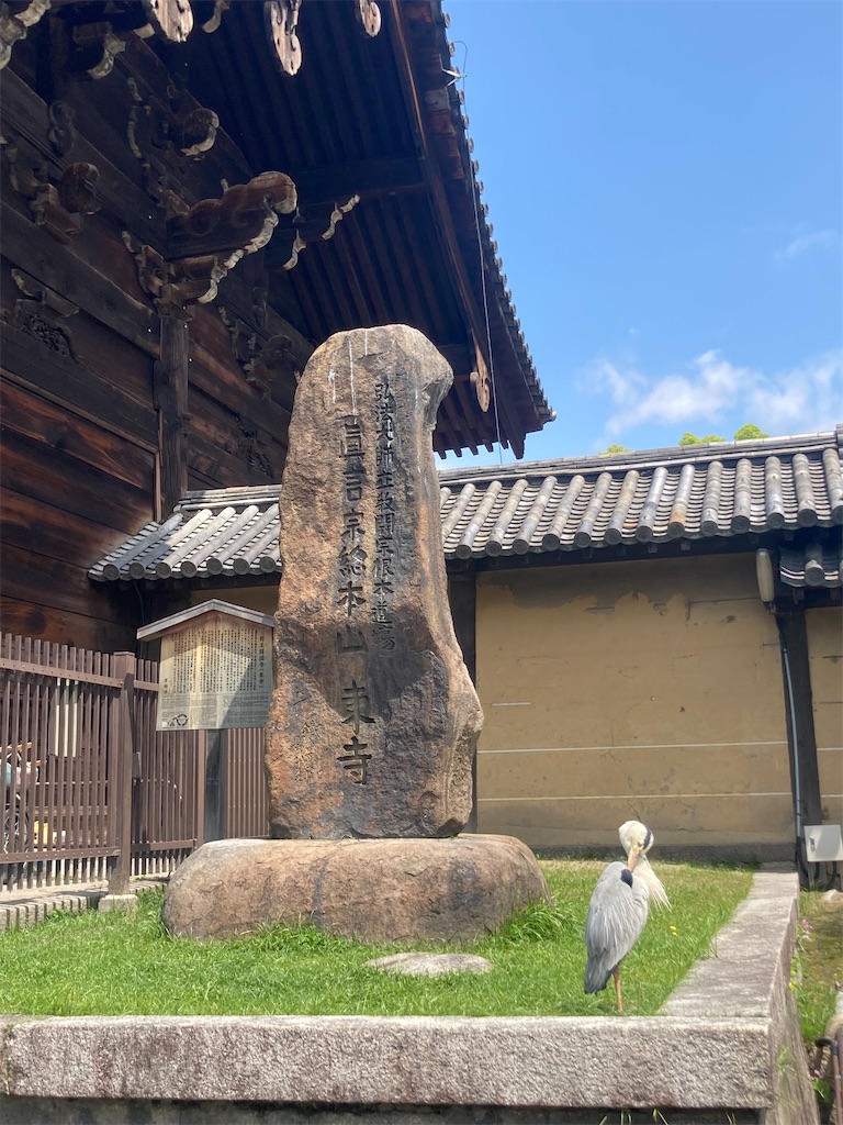 f:id:Hitoyasumisan:20240521134043j:image