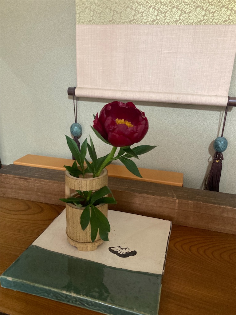 f:id:Hitoyasumisan:20240526215143j:image
