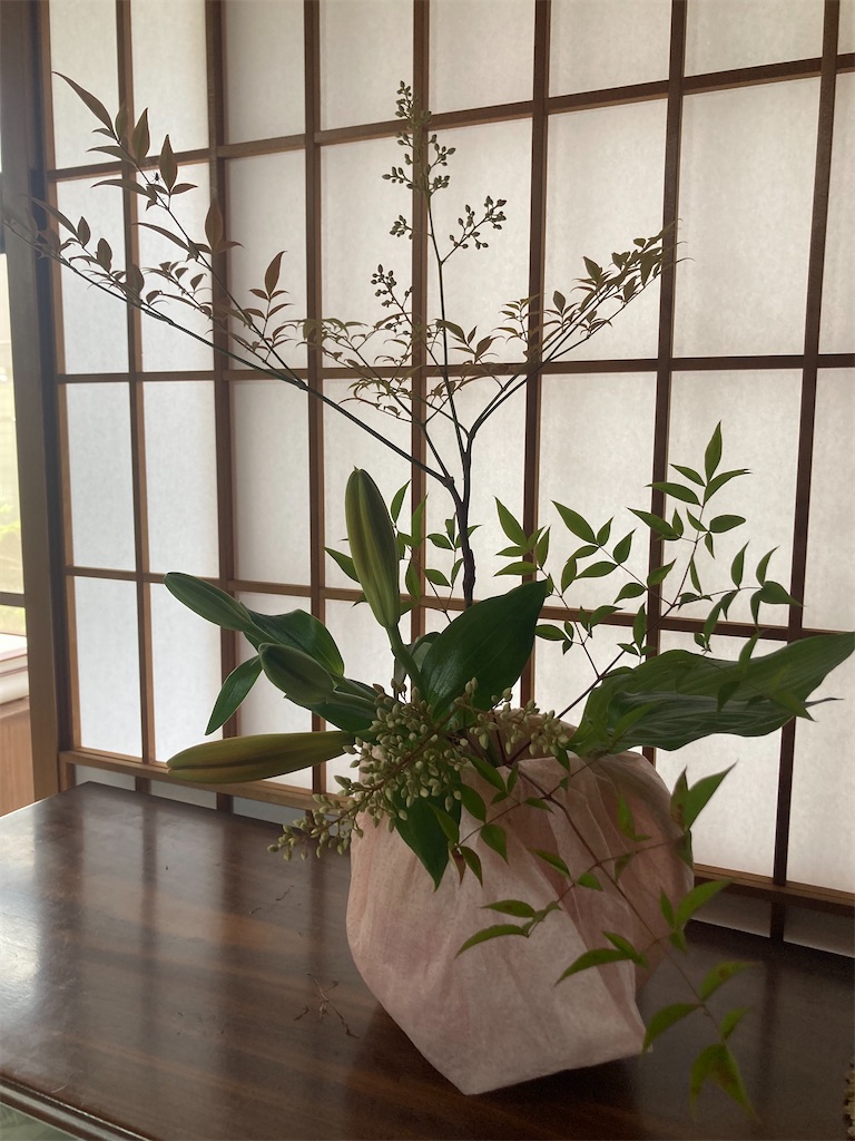 f:id:Hitoyasumisan:20240526215151j:image