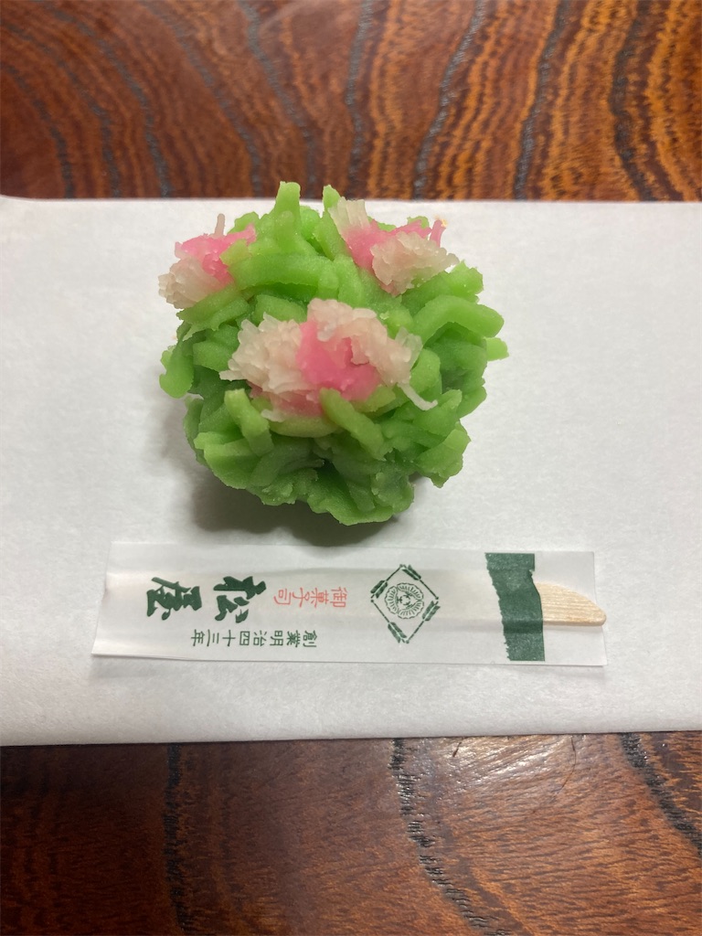 f:id:Hitoyasumisan:20240526215719j:image