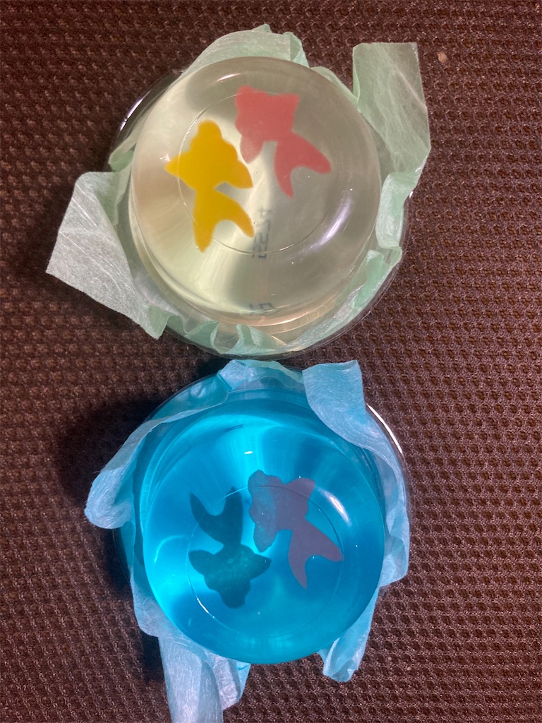 f:id:Hitoyasumisan:20240714210552j:image
