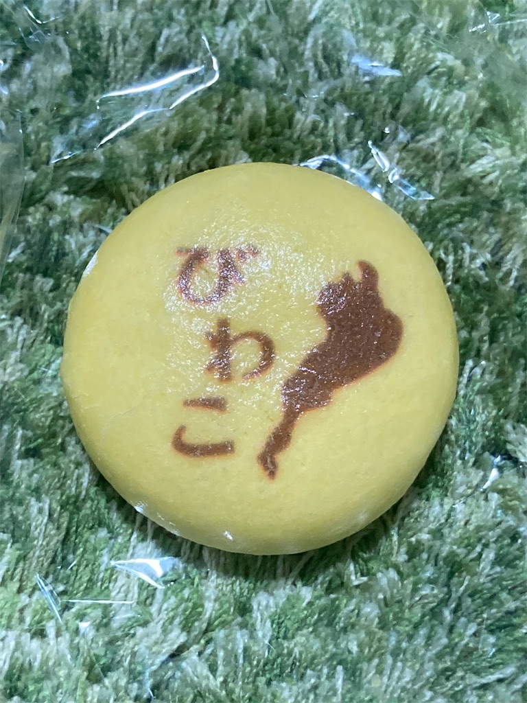 f:id:Hitoyasumisan:20240715173543j:image
