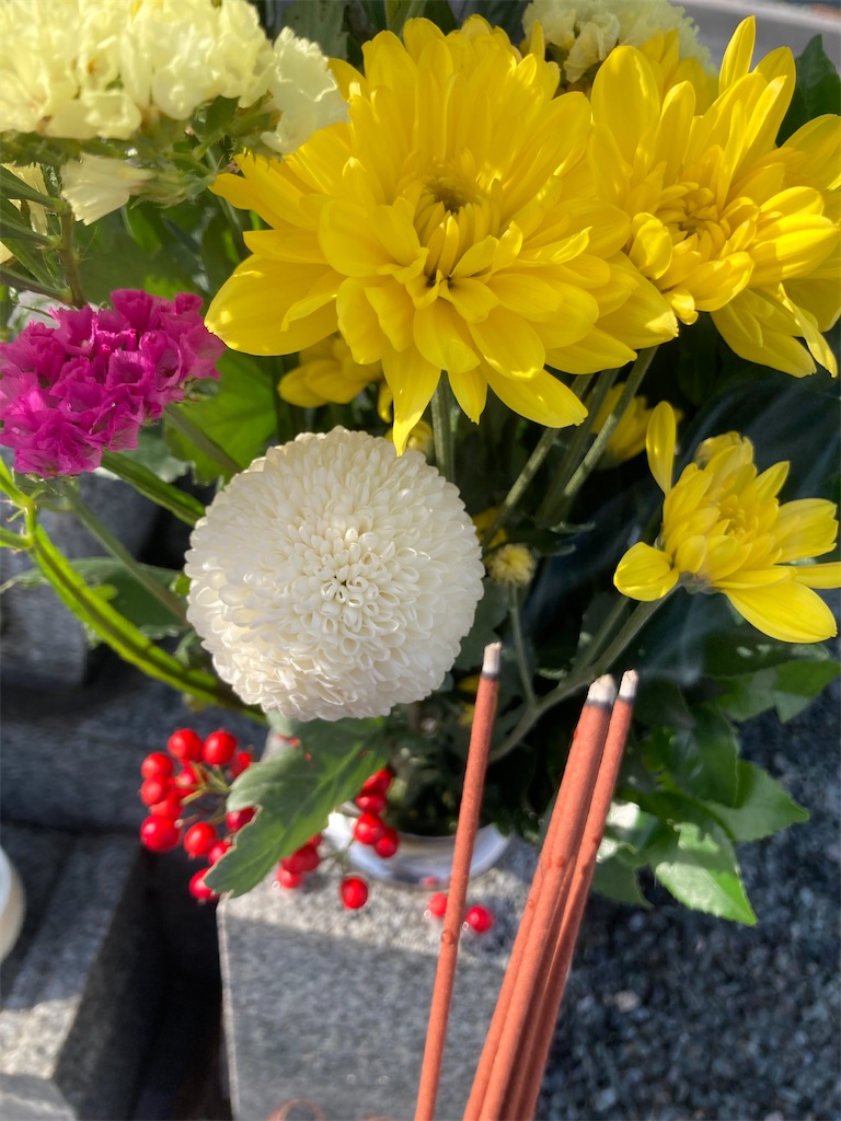 f:id:Hitoyasumisan:20241230195824j:image