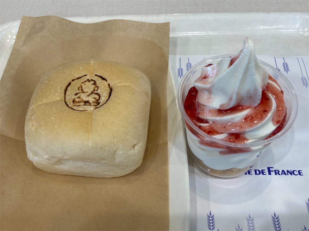 f:id:Hitoyasumisan:20250120132527j:image