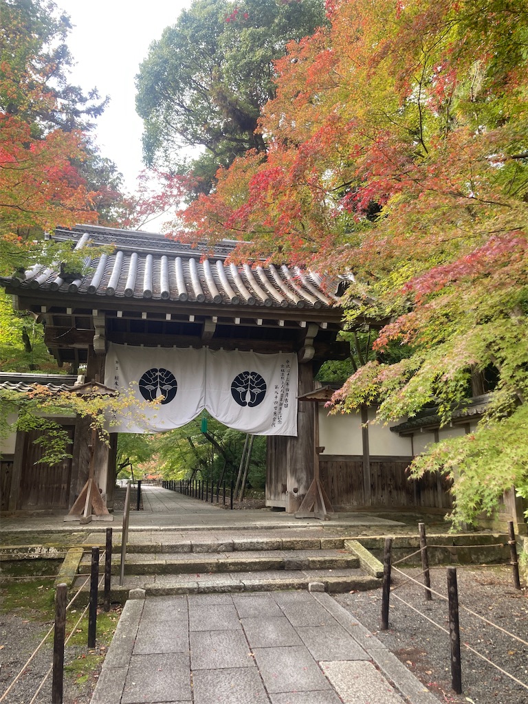 f:id:Hitoyasumisan:20251111164623j:image f:id:Hitoyasumisan:20251111164623j:image