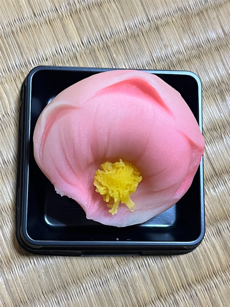f:id:Hitoyasumisan:20260121220731j:image f:id:Hitoyasumisan:20260121220731j:image