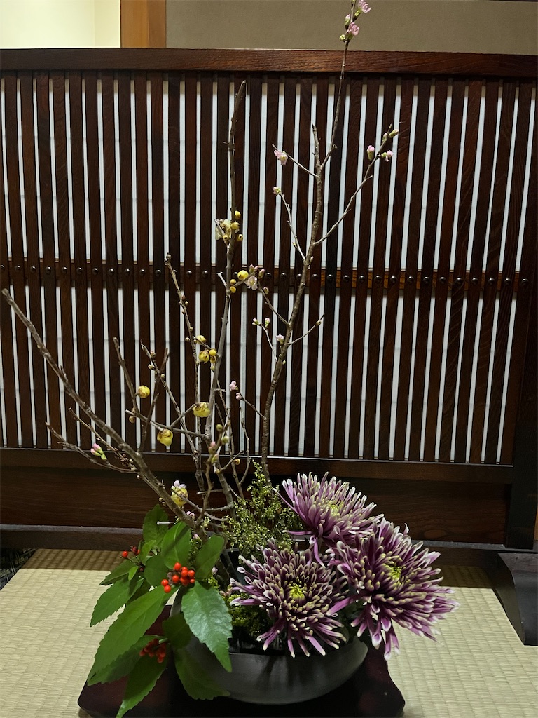 f:id:Hitoyasumisan:20260203203452j:image
