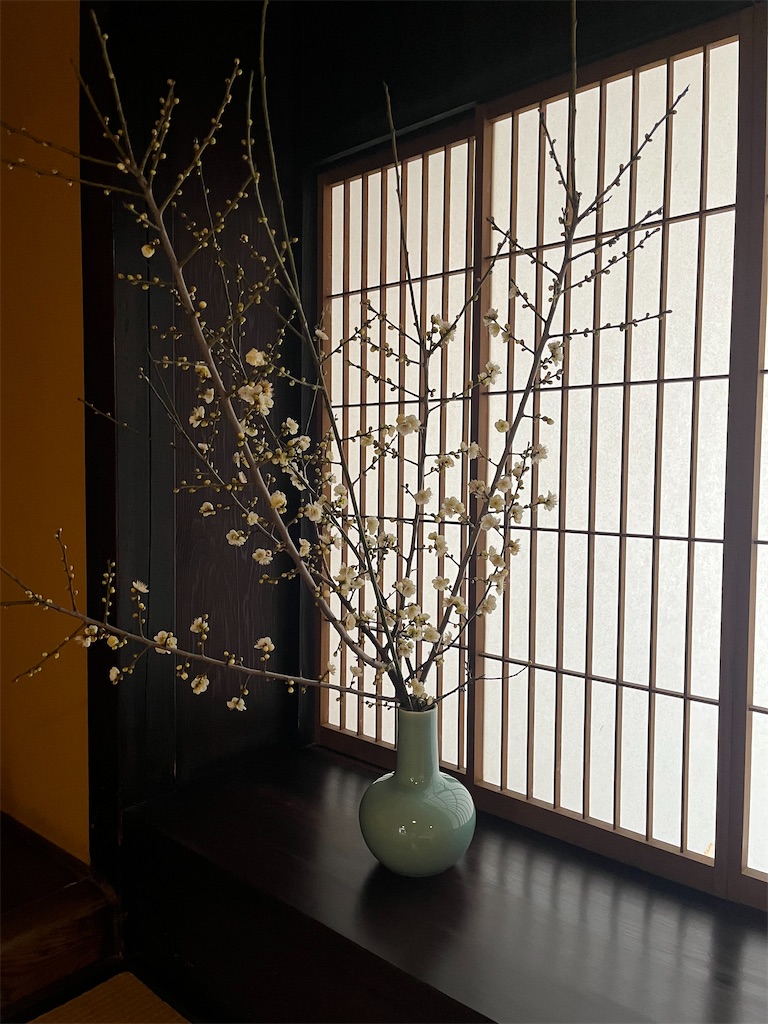f:id:Hitoyasumisan:20260211222241j:image