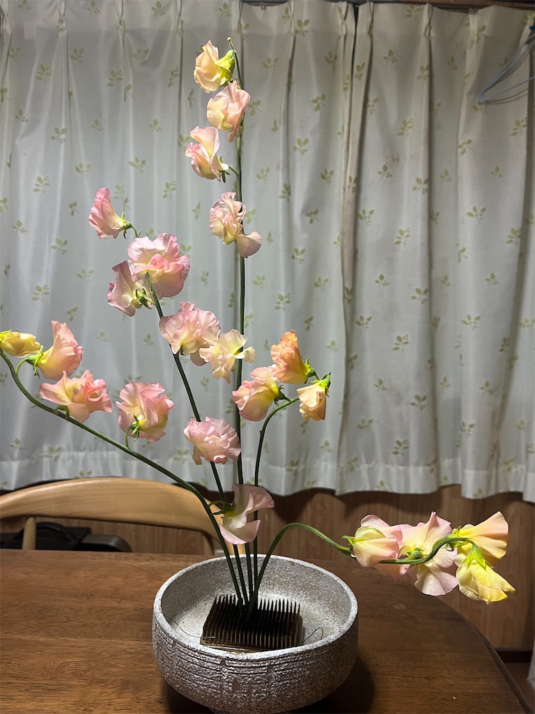 f:id:Hitoyasumisan:20260213202055j:image