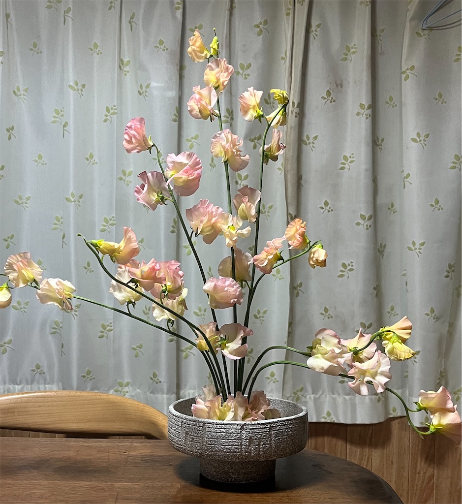f:id:Hitoyasumisan:20260213202102j:image