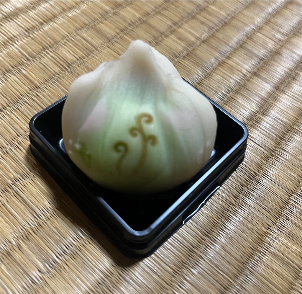 f:id:Hitoyasumisan:20260218210641j:image f:id:Hitoyasumisan:20260218210641j:image