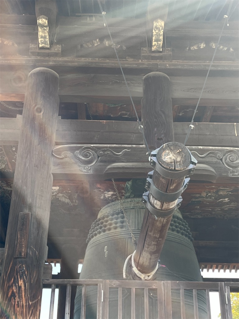 f:id:Hitoyasumisan:20260222214907j:image