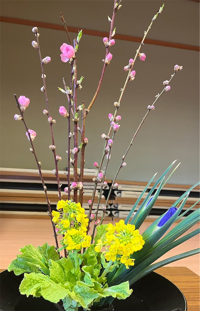 f:id:Hitoyasumisan:20260227181514j:image f:id:Hitoyasumisan:20260227181514j:image