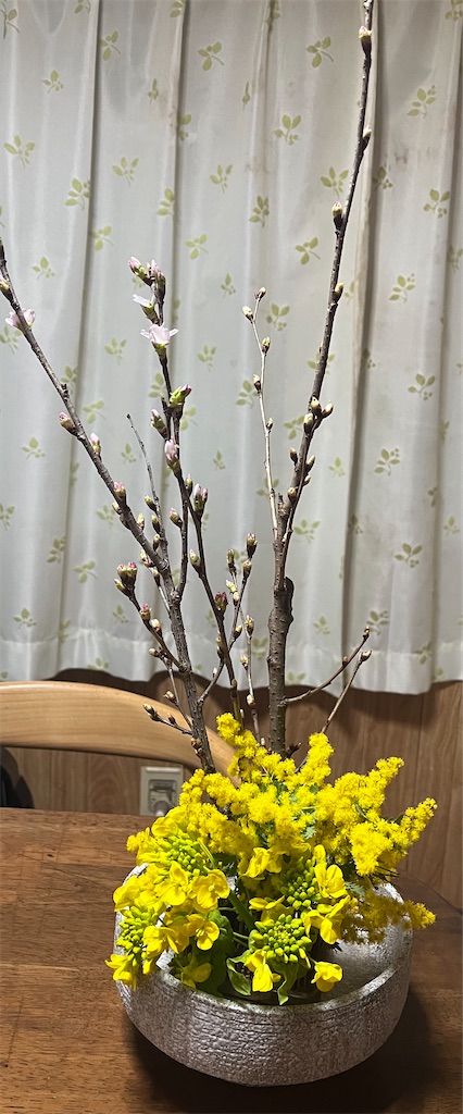 f:id:Hitoyasumisan:20260309173110j:image