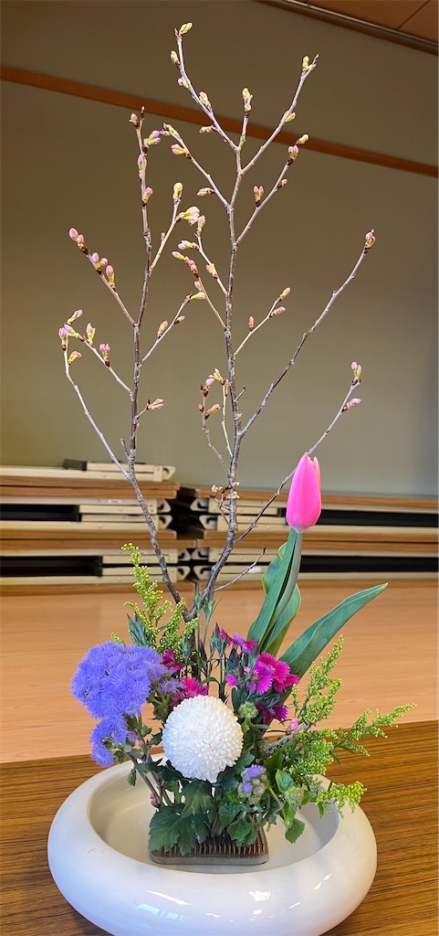 f:id:Hitoyasumisan:20260313180921j:image f:id:Hitoyasumisan:20260313180921j:image