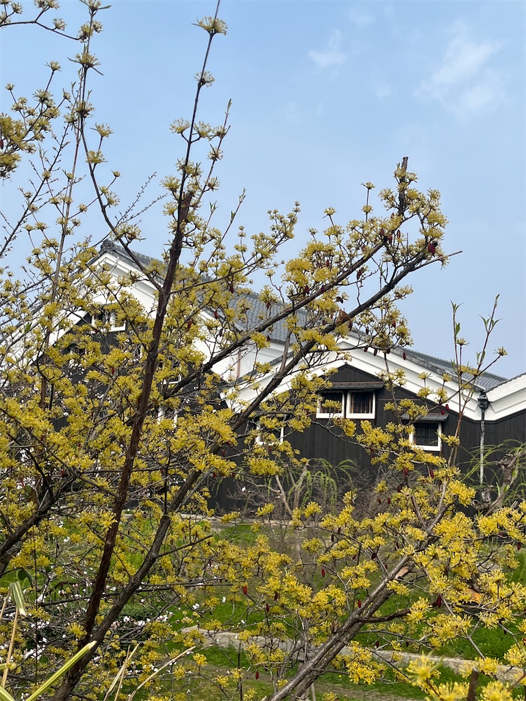 f:id:Hitoyasumisan:20260328160143j:image f:id:Hitoyasumisan:20260328160143j:image