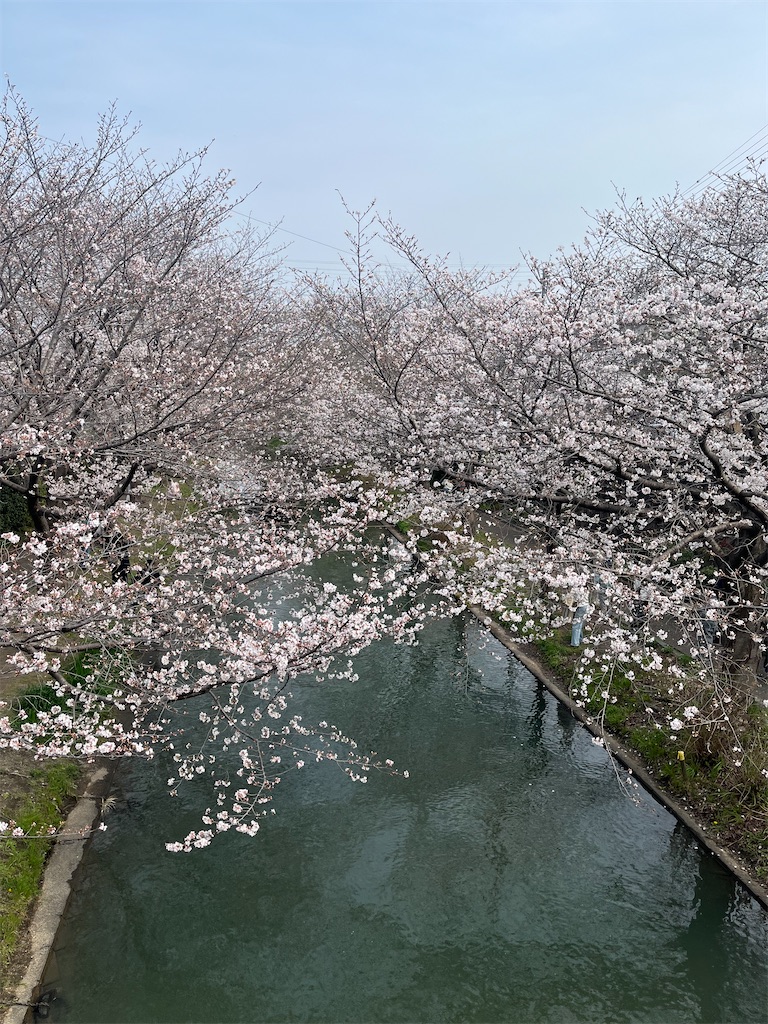 f:id:Hitoyasumisan:20260328160151j:image f:id:Hitoyasumisan:20260328160151j:image
