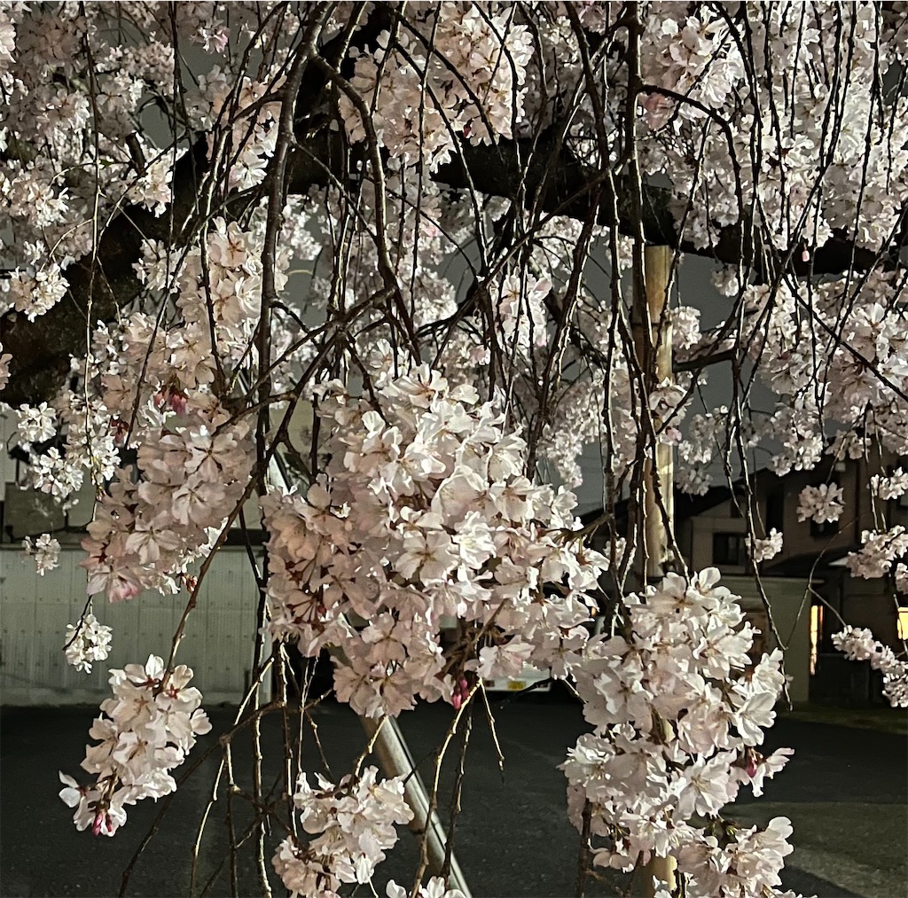 f:id:Hitoyasumisan:20260329192225j:image