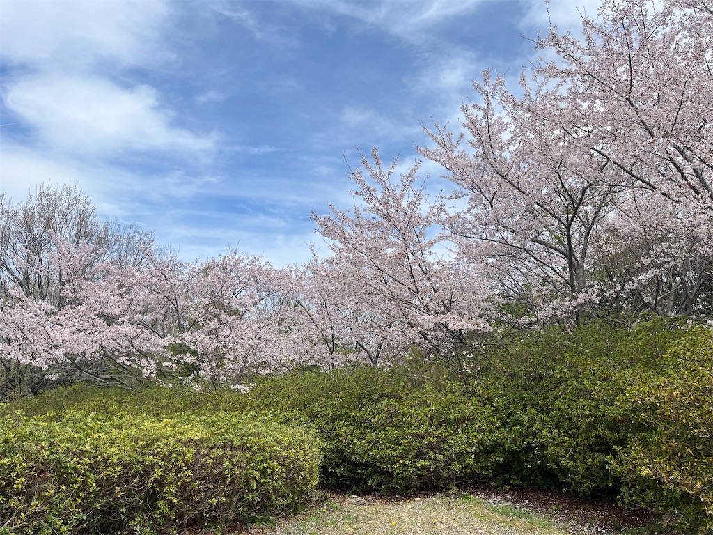 f:id:Hitoyasumisan:20260405224045j:image