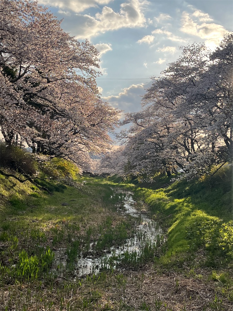 f:id:Hitoyasumisan:20260405225232j:image