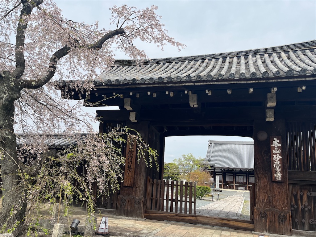 f:id:Hitoyasumisan:20260406171819j:image