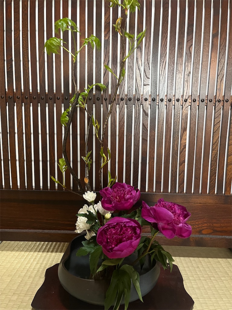 f:id:Hitoyasumisan:20260413203828j:image f:id:Hitoyasumisan:20260413203828j:image