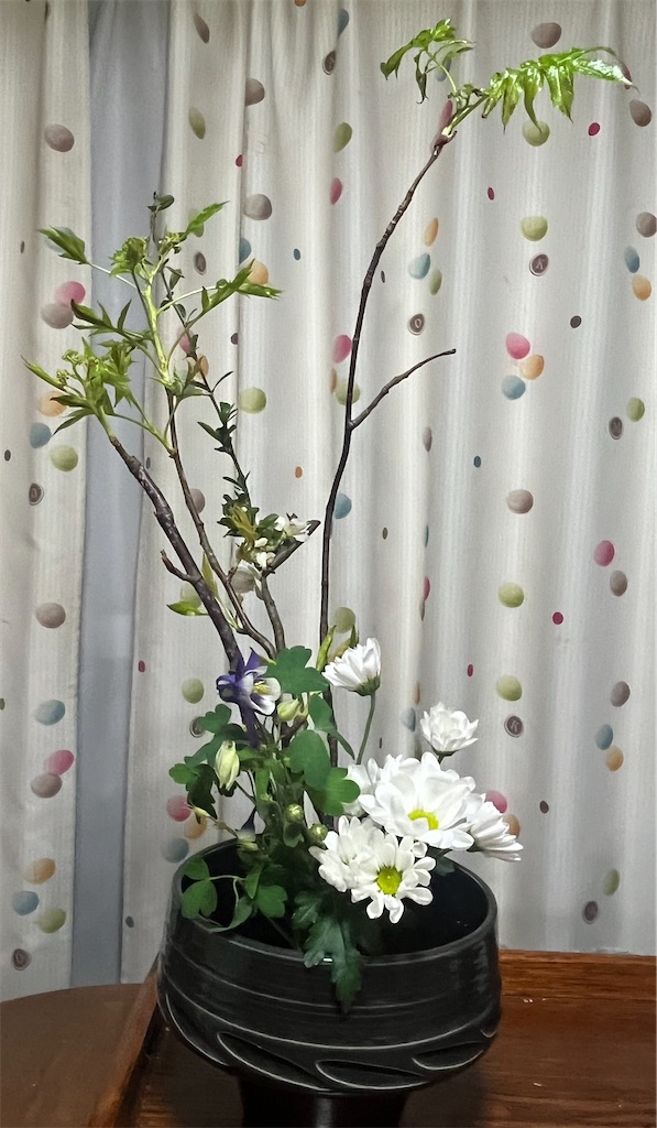 f:id:Hitoyasumisan:20260413211737j:image f:id:Hitoyasumisan:20260413211737j:image