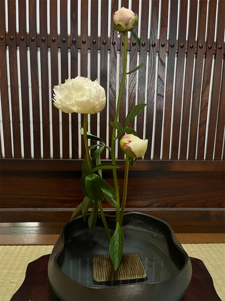 f:id:Hitoyasumisan:20260520211733j:image f:id:Hitoyasumisan:20260520211733j:image