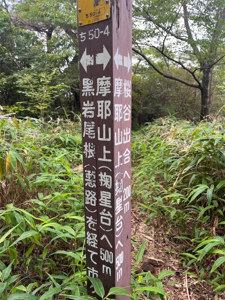 f:id:Hitoyasumisan:20260712191020j:image
