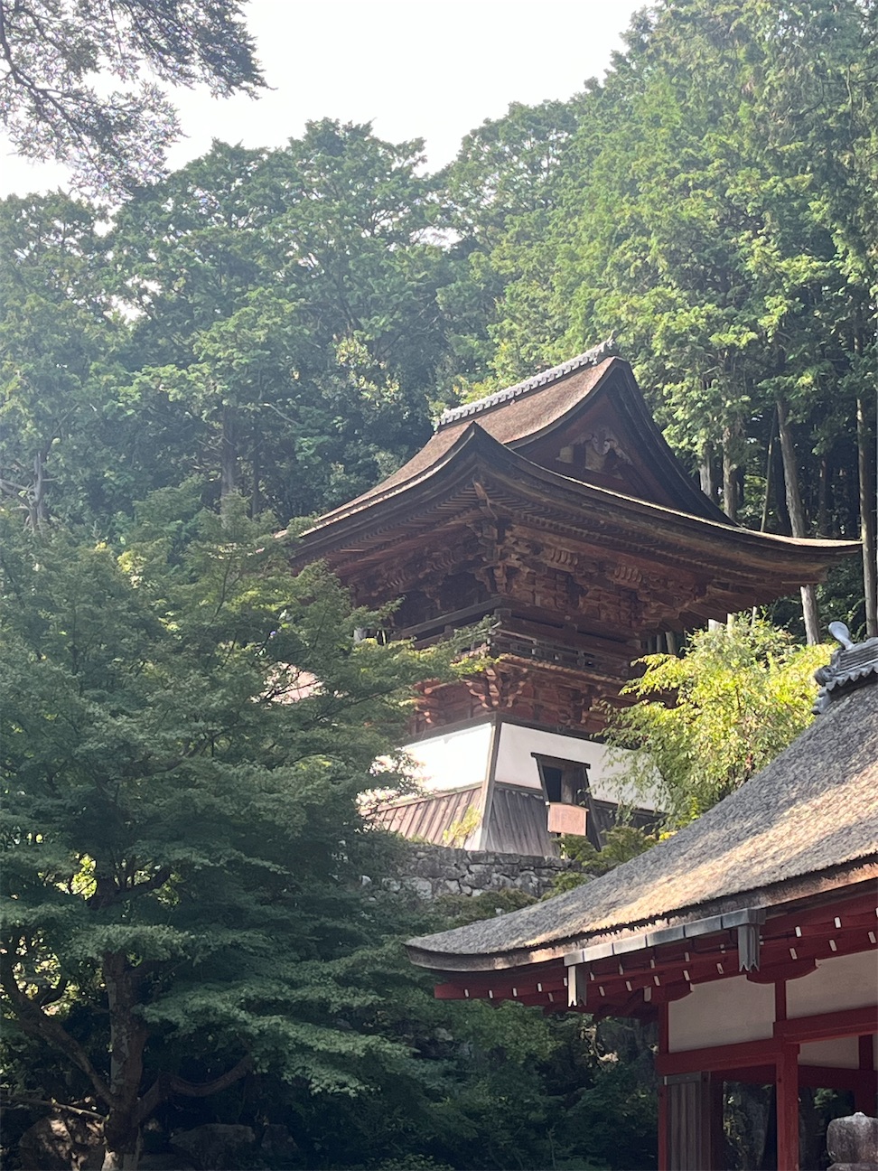 f:id:Hitoyasumisan:20260923232948j:image