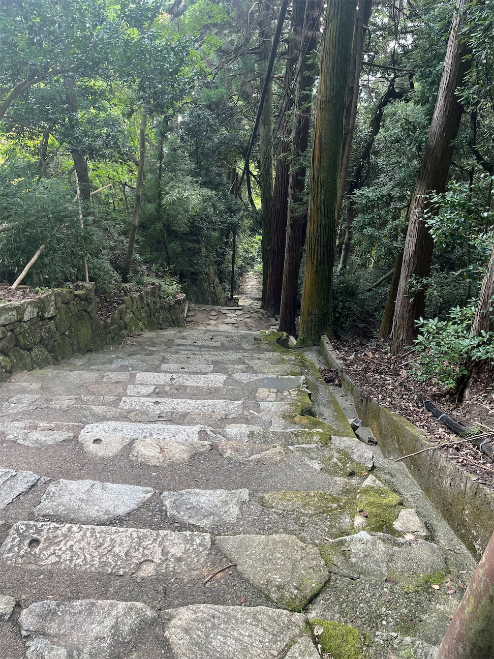 f:id:Hitoyasumisan:20260923232950j:image