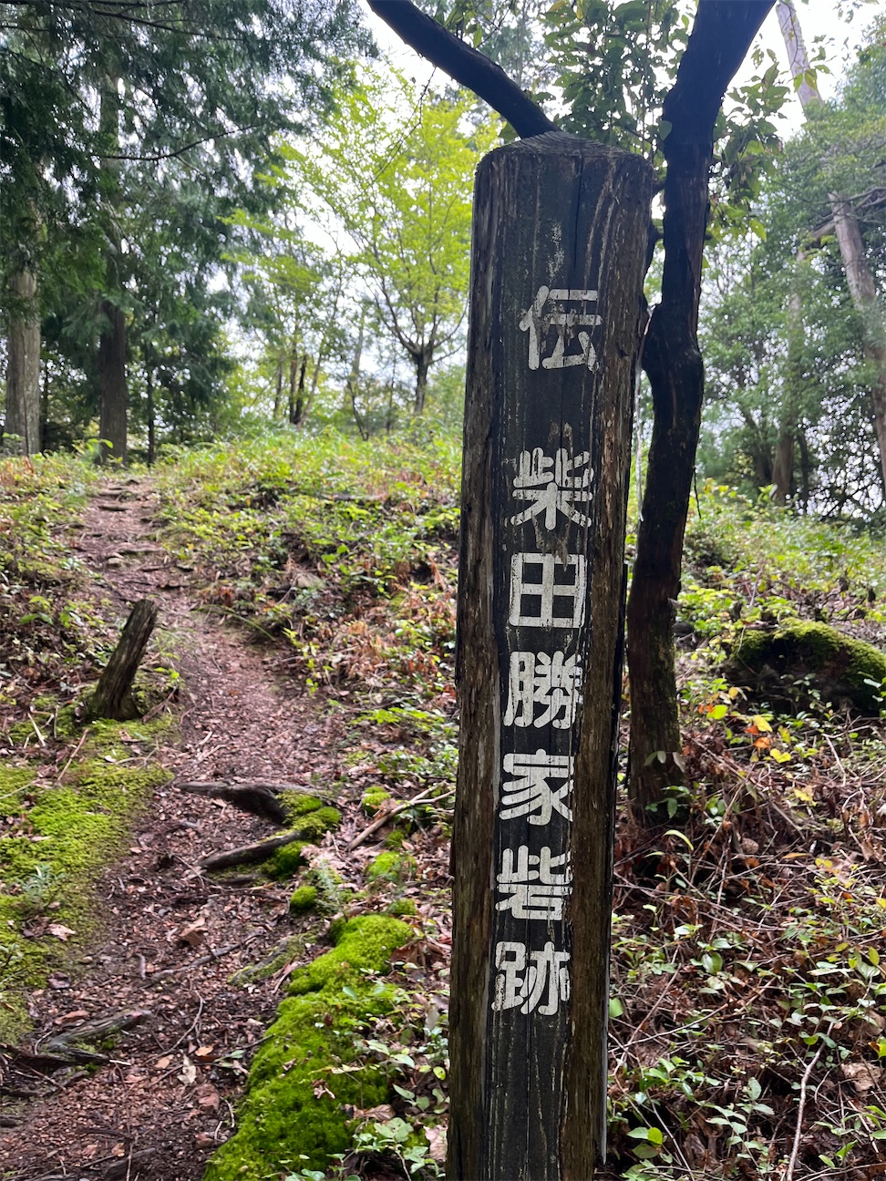 f:id:Hitoyasumisan:20260927202058j:image