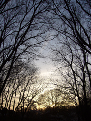 f:id:Hitsujigusa:20100404175052j:image