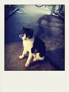 f:id:Hlyrnir:20130706013605j:image f:id:Hlyrnir:20130706013605j:image