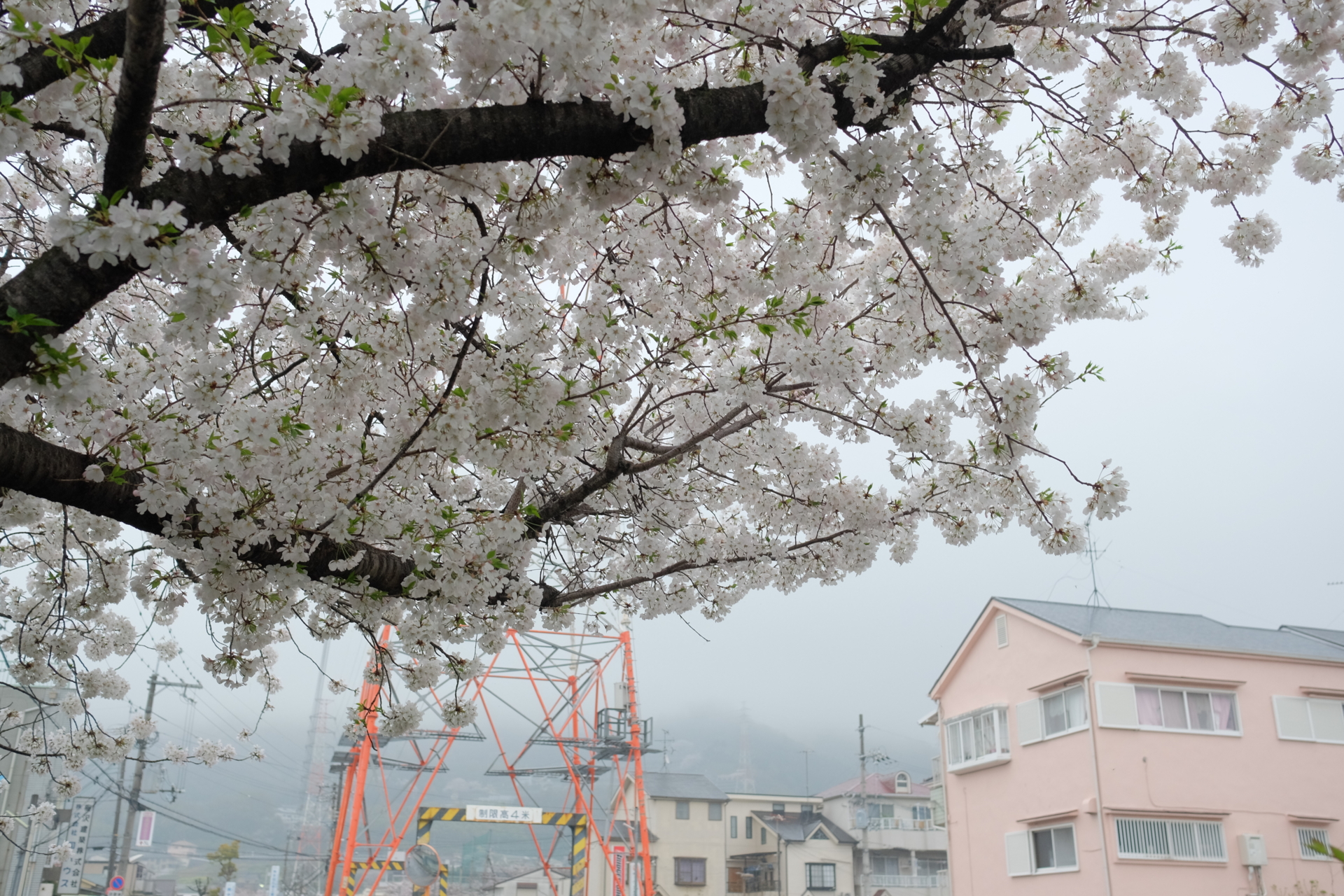 f:id:Hokkorina:20170408172811j:plain f:id:Hokkorina:20170408172811j:plain