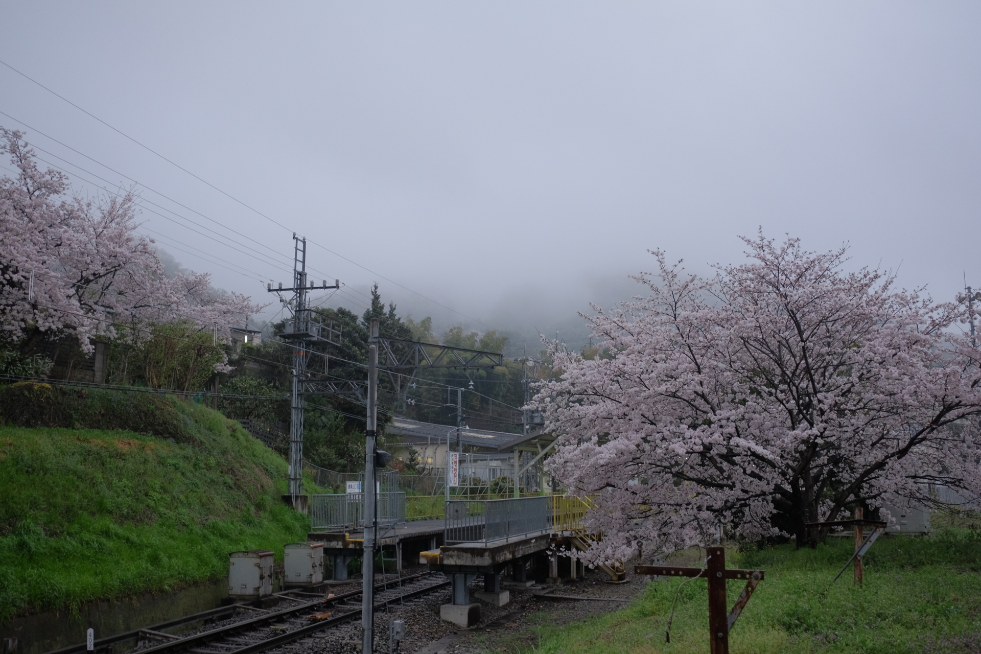 f:id:Hokkorina:20170408174825j:plain f:id:Hokkorina:20170408174825j:plain