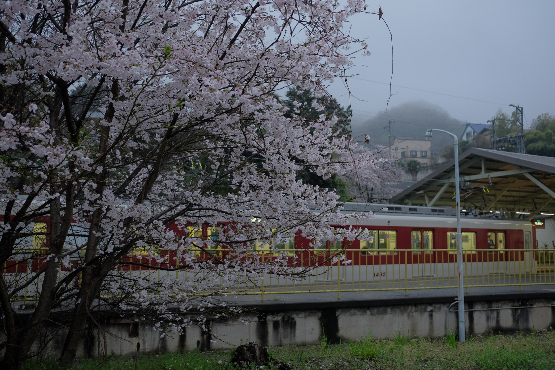 f:id:Hokkorina:20170408174932j:plain f:id:Hokkorina:20170408174932j:plain