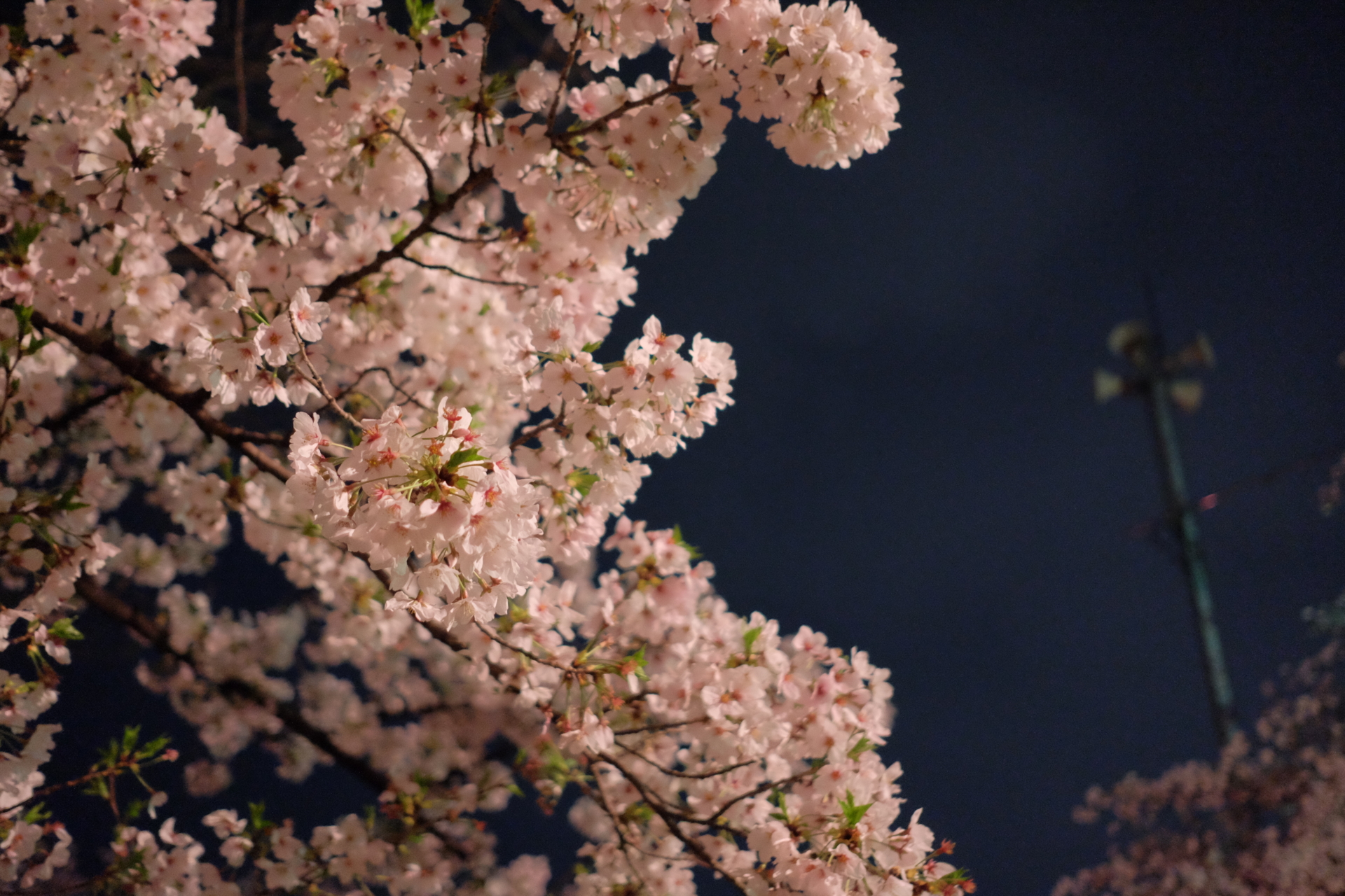 f:id:Hokkorina:20170409193044j:plain f:id:Hokkorina:20170409193044j:plain