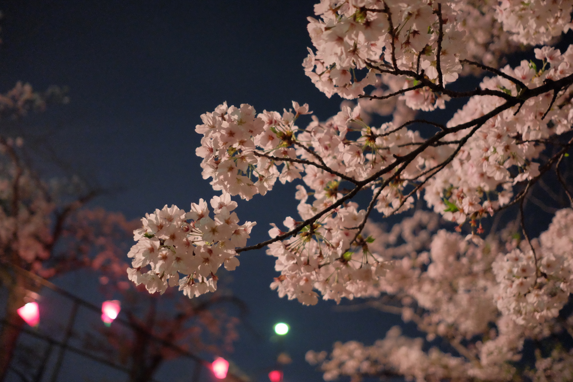 f:id:Hokkorina:20170409193242j:plain f:id:Hokkorina:20170409193242j:plain