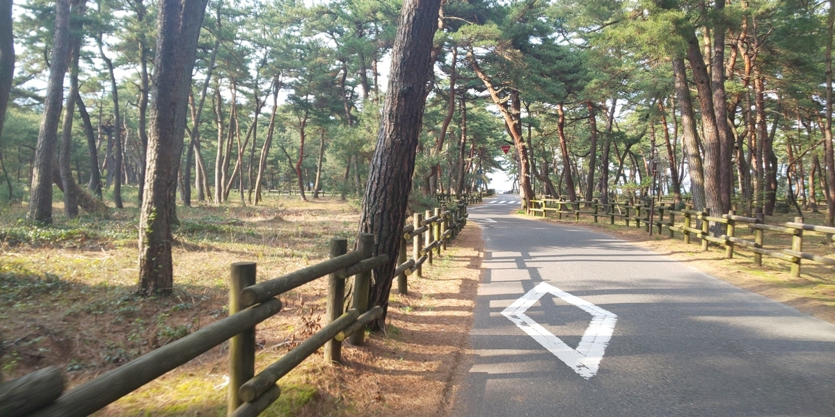 f:id:Hokudaiseeee:20200421185152j:plain