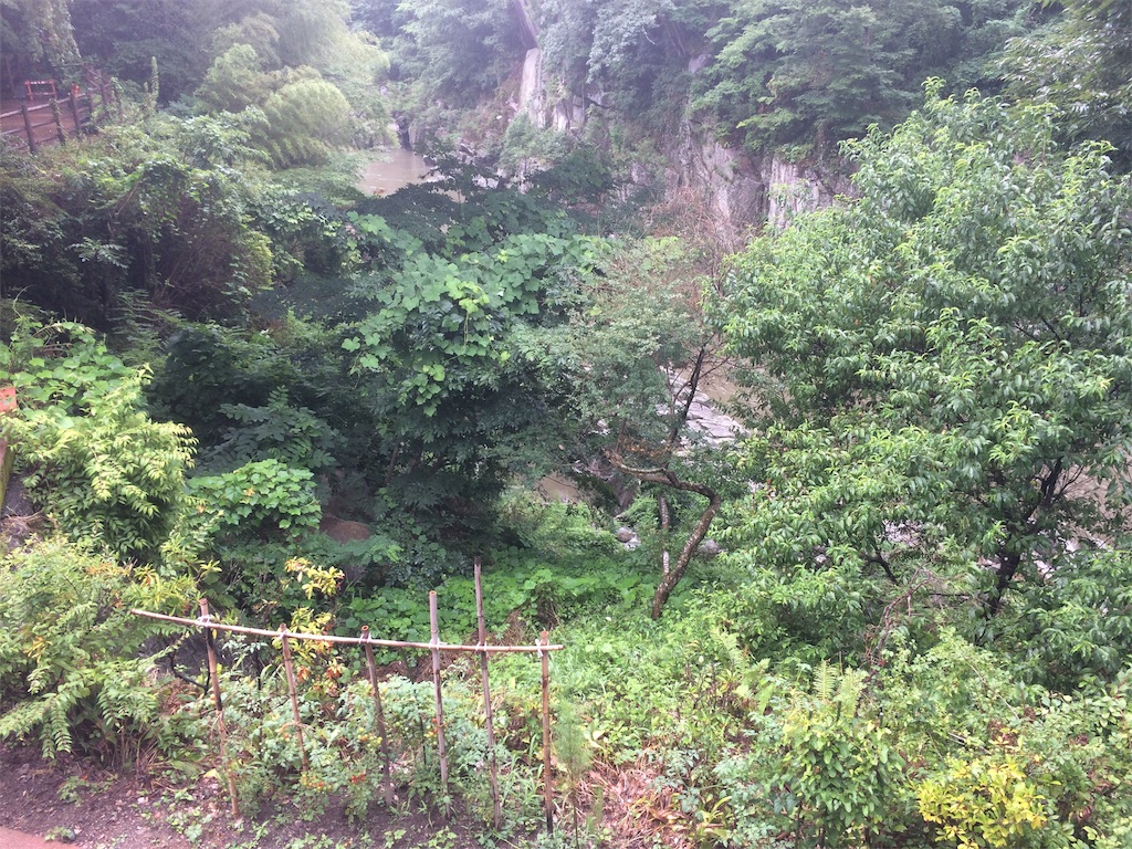 f:id:Hokudaiseeee:20200613134208j:image